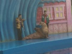 -华夏文旅海洋公园