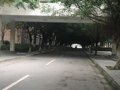 -成都工业学院(郫都校区)