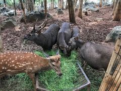 -昆明动物园