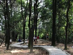 -火炉山森林公园