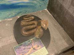 -下渚湖国家湿地公园科普馆