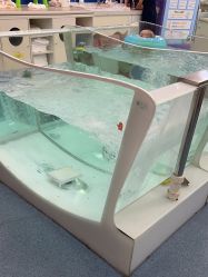 -海豚啵啵体智能游泳馆(惠山万达广场店)