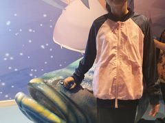 -烟台海昌鲸鲨海洋公园