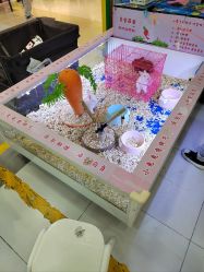 -万达宝贝王(上海浦江店)
