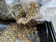 黑芝麻-叶氏麻糍(鼓浪屿店)
