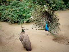 -森林公园(尖草坪区)