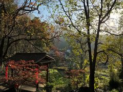 -塔川景区