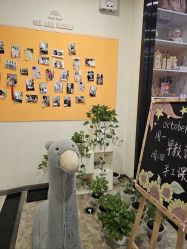 -佳宝全套房精品月子会所(大华店)