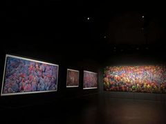 -罗红摄影艺术馆