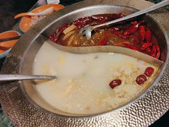 -麻田会 ·鲜活现烹·牛蛙火锅(珠江新城维家思广场店)