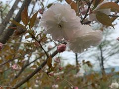 -四明山国家森林公园