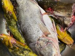 -老哥铁锅炖鱼(嫩江北街店)