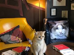 -咖法森林·咖啡  酒吧(天河店)