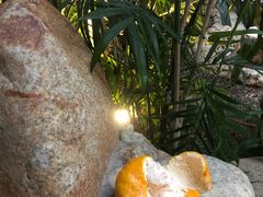 -三江森林温泉度假区