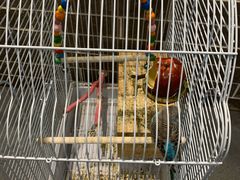 -五悦北平四季涮肉·烧烤(老商埠店)