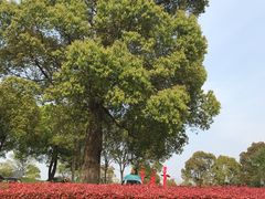 -上海月湖雕塑公园