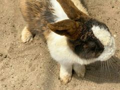 -前小桔亲子创意农场·草莓采摘·露营烧烤