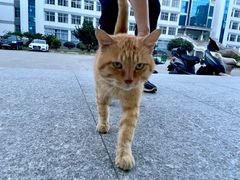 -南京农业大学(浦口校区)