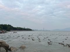 -深圳湾公园(南山区)