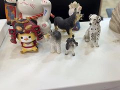 -美联众合动物医院·24h转诊中心