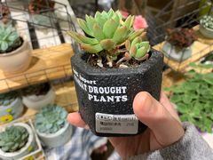 -AEON永旺(东方宝泰店)