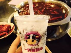-大龙火锅(老店)