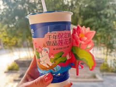 -莲池书院博物馆