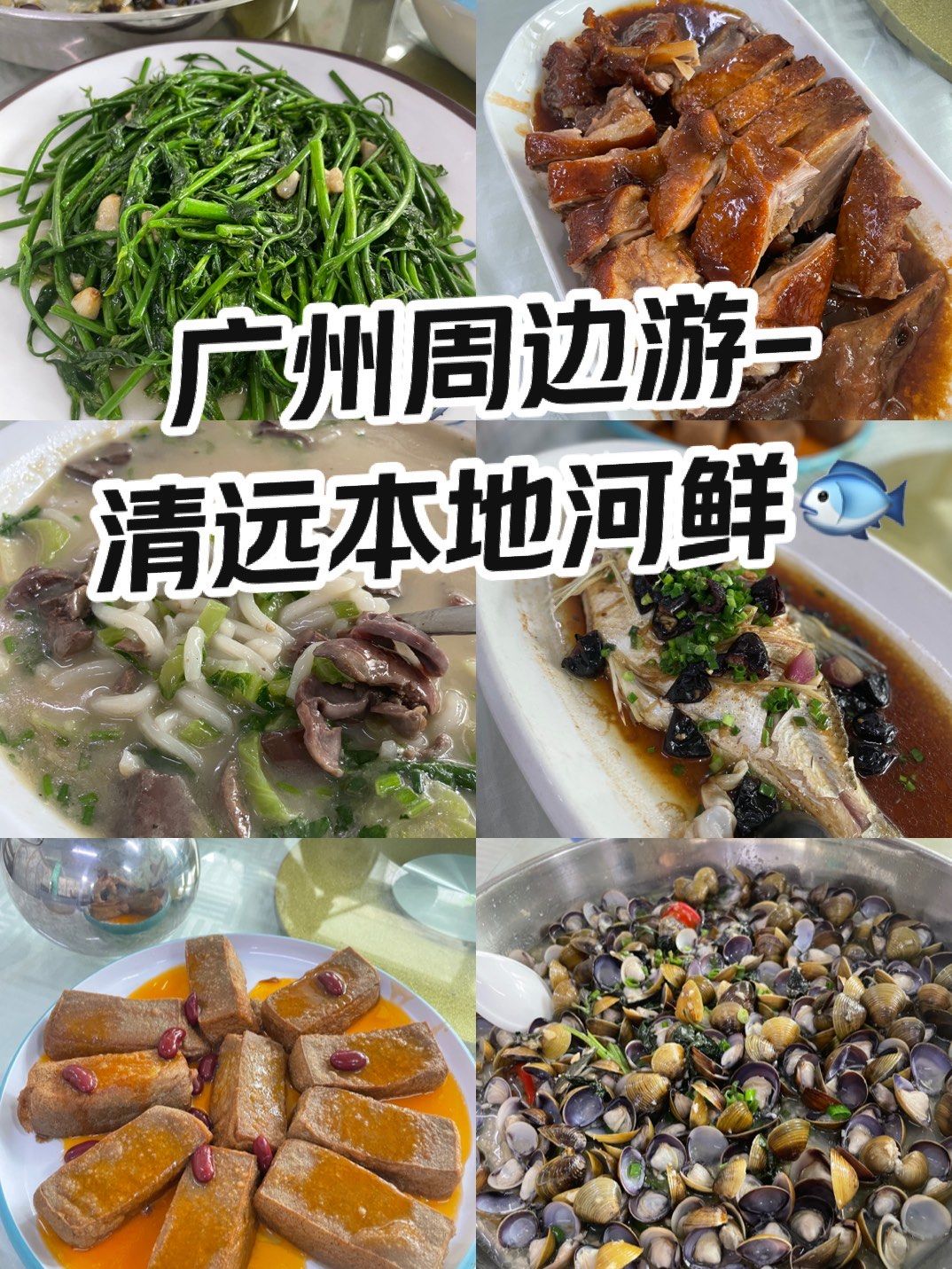 n
95清远北江的河鲜很鲜甜
卤鹅也是当地的做法,酱香浓郁,很