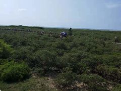 -北海金海湾红树林生态旅游区