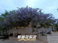 -三圣花乡旅游区