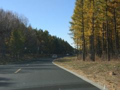 -塞罕坝国家级自然保护区