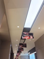 -杭州米兰柏羽医疗美容医院