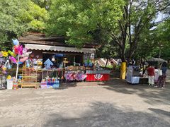 -长白岛森林公园