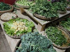 -昆虫窝子·特色云南菜(拓东路总店)