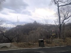 -北山公园