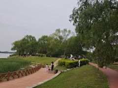-丁香湖公园