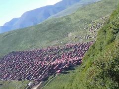 -色达喇荣五明佛学院