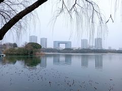 -渤公岛生态公园