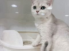 -乐宠宠物店(世纪金源店)