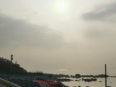 -海岛日记(养马岛店)