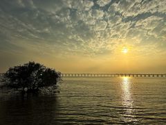 -宝安西湾红树林湿地公园