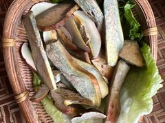 -滇野云南野生菌餐厅(陕西南路店)