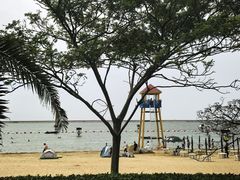 -碧海金沙