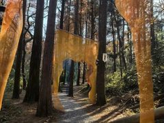 -波尔登森林公园