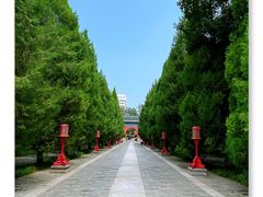 -月坛公园