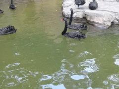 -燕塞湖鸟语林景区
