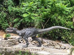 -将军关探险漂流