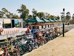 -春花秋色城市公园