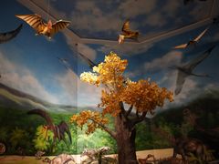 -安徽省地质博物馆