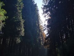 -山王坪喀斯特国家生态公园